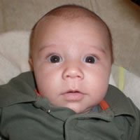 Gavin Robert Stevens